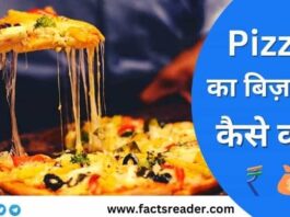 Pizza Ka Business Kaise Kare