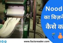 Noodles Making Business In Hindi