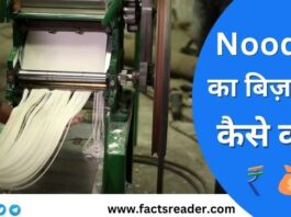 Noodles Making Business In Hindi