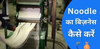 Noodles Making Business In Hindi