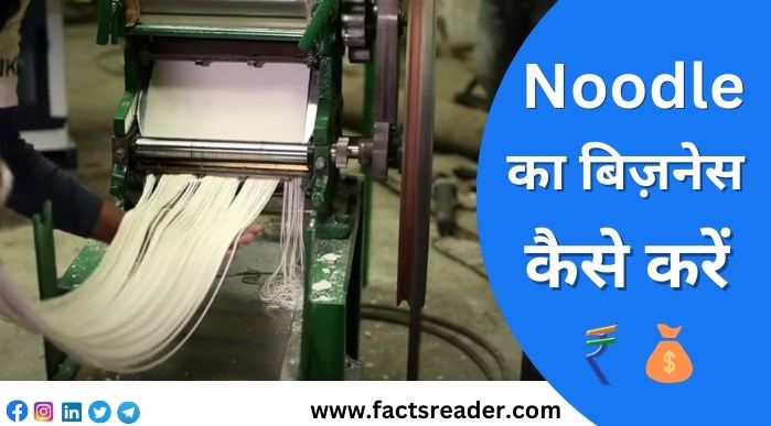 Noodles Making Business Plan In Hindi