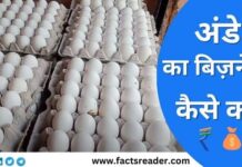 Ande ka Business Kaise Kare और Egg Agency कैसे ले