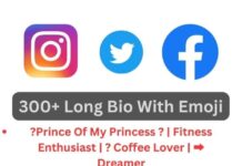 300-Long-Bio-With-Emoji-min