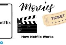 How Netflix Works