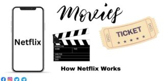 How Netflix Works