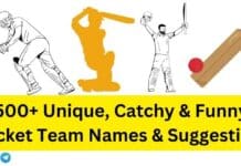 Cricket Team Names: