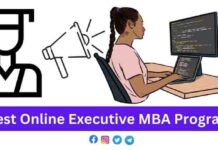 Best Online Executive MBA Programs