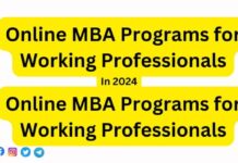 Online MBA Programs for Working Professionals