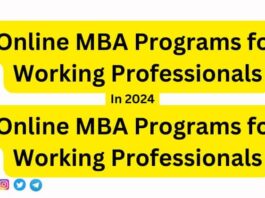 Online MBA Programs for Working Professionals