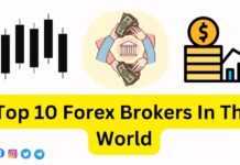 Top 10 Forex Brokers In The World