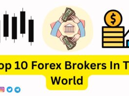 Top 10 Forex Brokers In The World