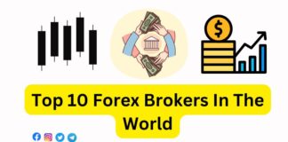 Top 10 Forex Brokers In The World