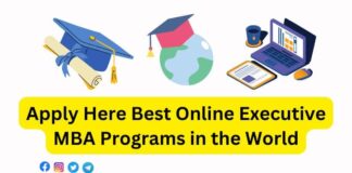 Apply Here Best Online Executive MBA Programs in the World