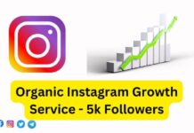 Organic Instagram Growth Service