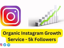 Organic Instagram Growth Service