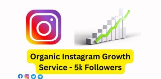 Organic Instagram Growth Service