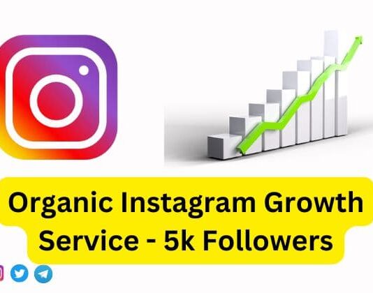 Organic Instagram Growth Service