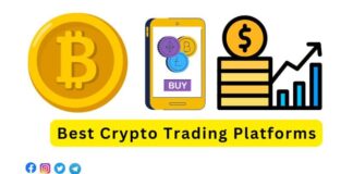 Best Crypto Trading Platforms