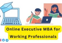 Online Executive MBA for Working Professionals