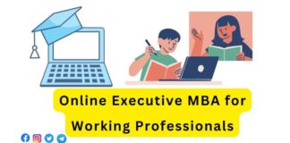 Online Executive MBA for Working Professionals