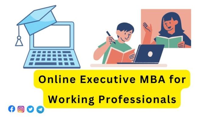 Online Executive MBA for Working Professionals