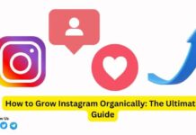 How to Grow Instagram Organically