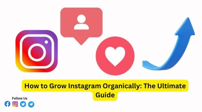 How to Grow Instagram Organically