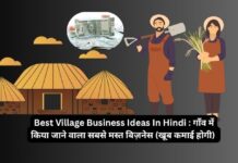 Best Village Business Ideas In Hindi